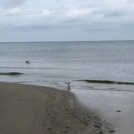 Leuchtfeuer 아파트 페네뮌데